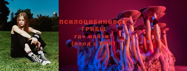 прущие грибы Снежногорск