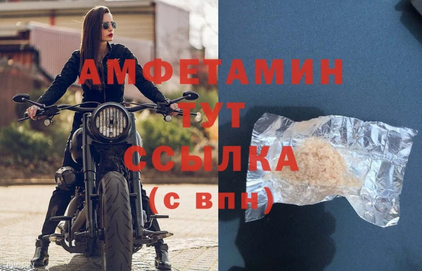 шишки Почеп