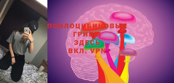 прущие грибы Снежногорск