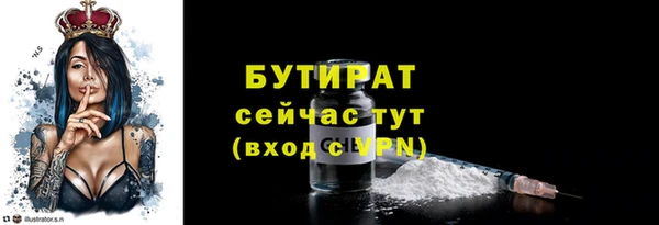 прущие грибы Снежногорск