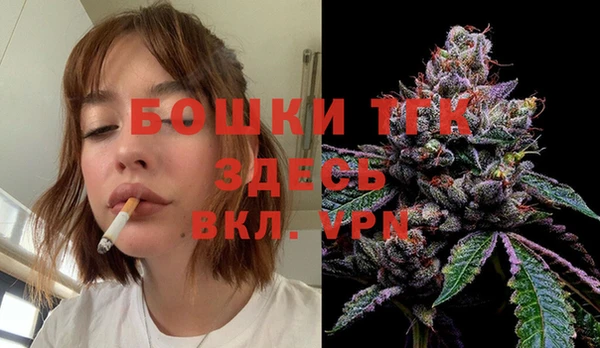 соль ск Снежинск