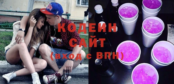 соль ск Снежинск