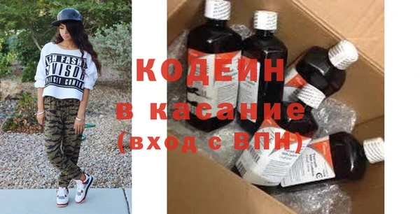 шишки Почеп