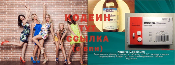 прущие грибы Снежногорск