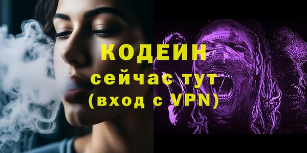 прущие грибы Снежногорск
