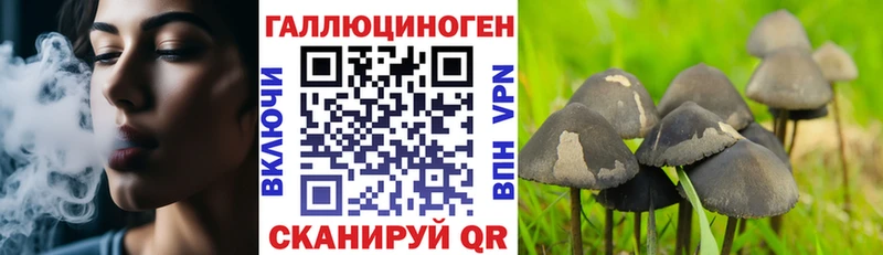 Галлюциногенные грибы MAGIC MUSHROOMS  omg ССЫЛКА  Калуга 