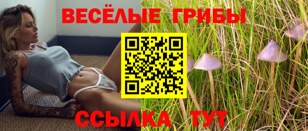 Калуга  Псилоцибиновые грибы мухоморы  Вход с VPN 